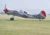 LY-ANG. Yak 50